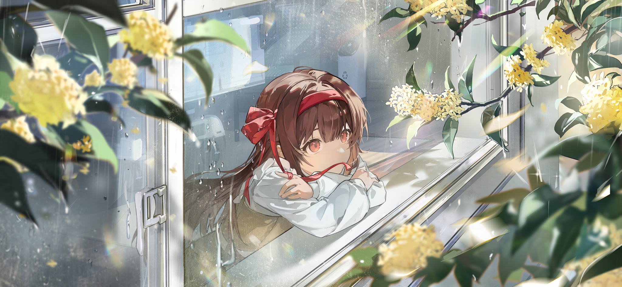 预览