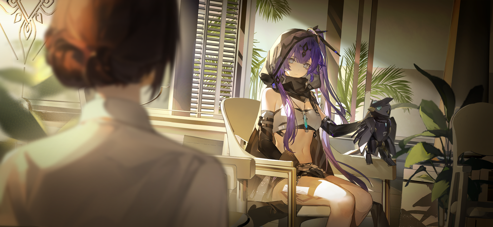 预览