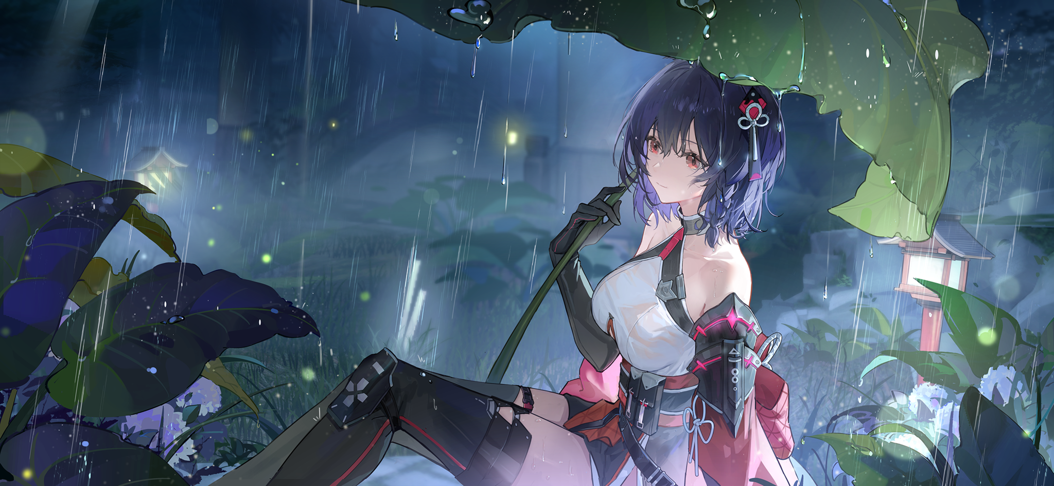 R5001(蝉时雨)