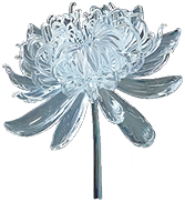 冰之花